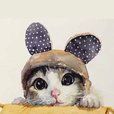 小九爷