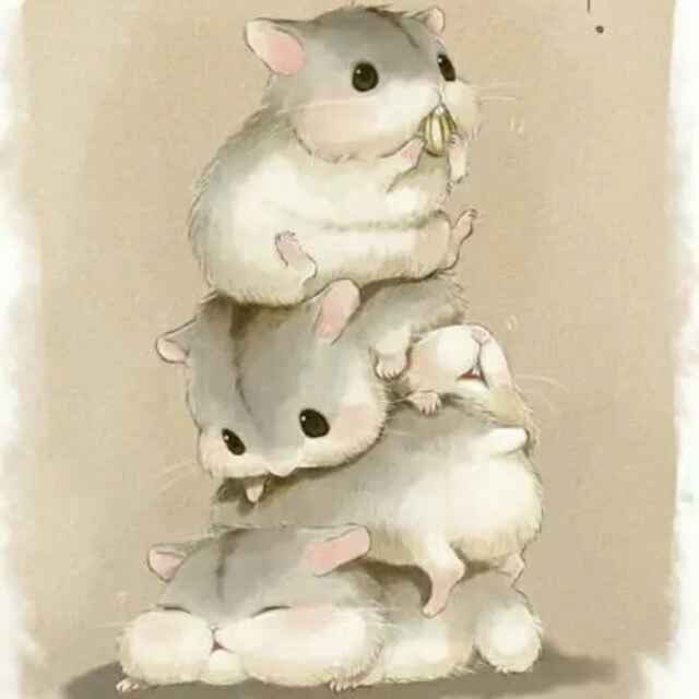 飘小然