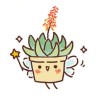 九戈
