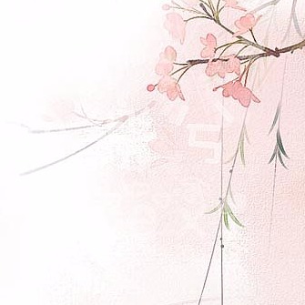 一枚酸橘子