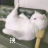 葱姜蒜末