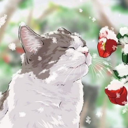 流西的猫