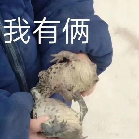 拈十三
