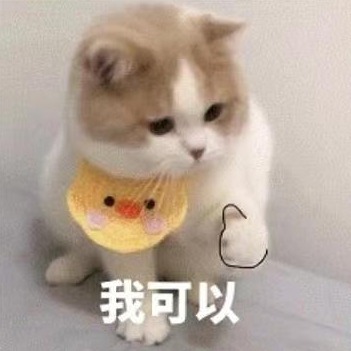 冰糖脆黄瓜