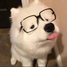 杨梅不好吃